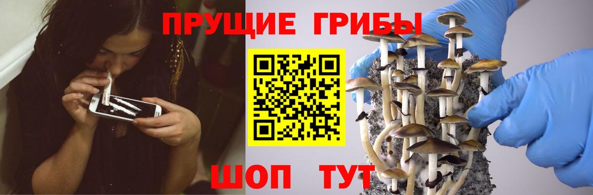 наркотики  Галлюциногенные грибы мухоморы  Вход с VPN  Евпатория 